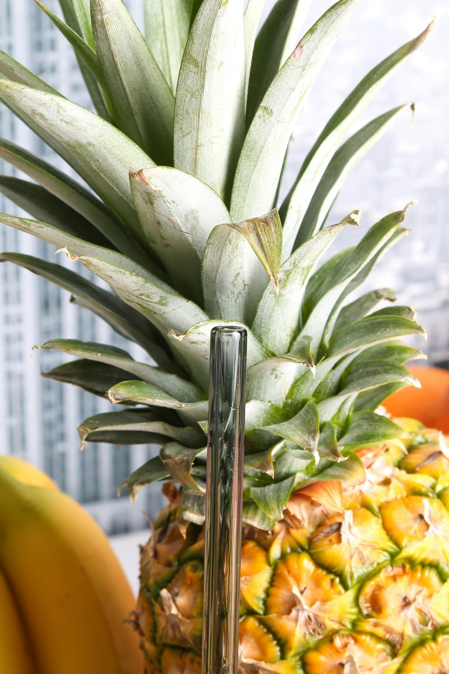 Receitas exclusivas para uma dieta saudável